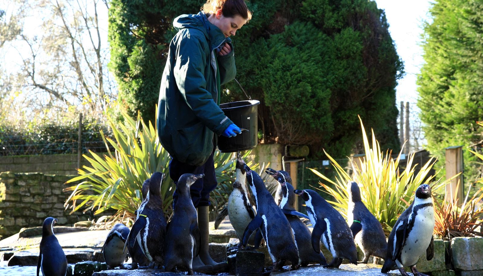 Birdworld, Hampshire